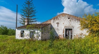 Farm T3 in Luz de Tavira e Santo Estêvão of 362 m²