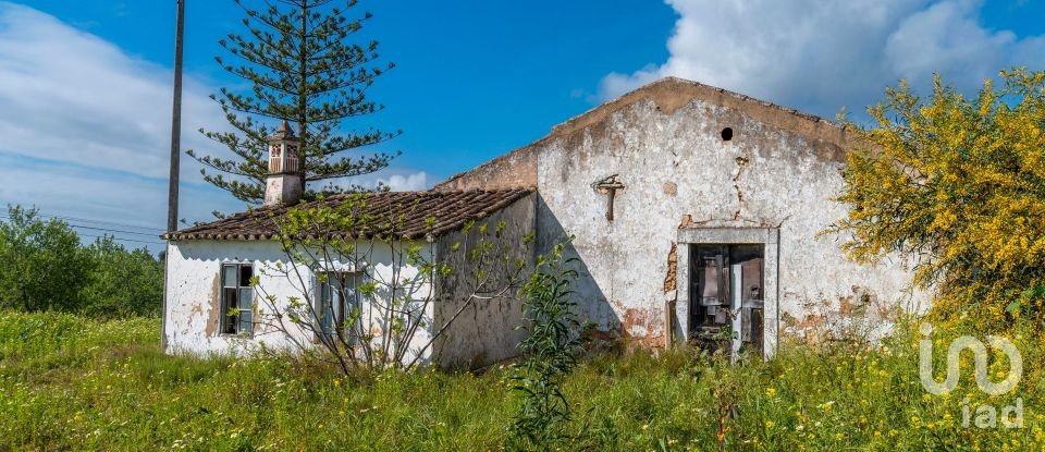 Farm T3 in Luz de Tavira e Santo Estêvão of 362 m²