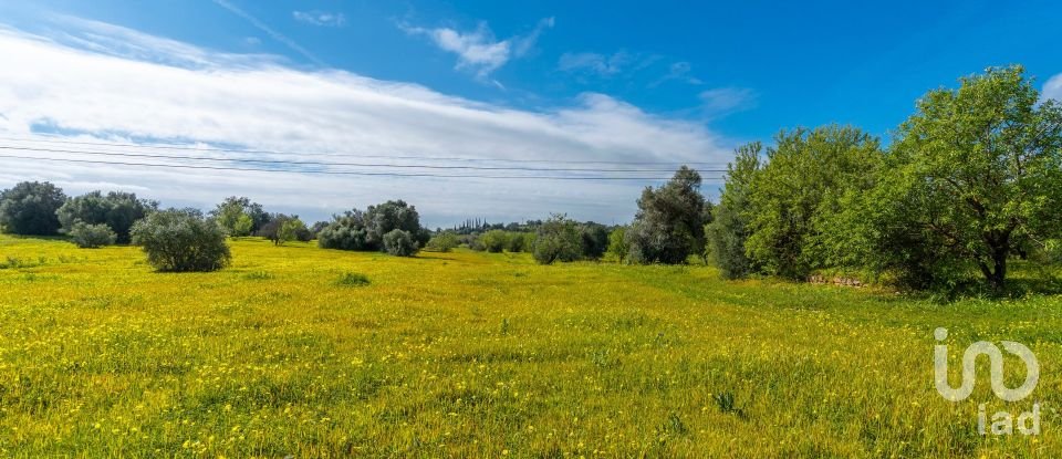 Farm T3 in Luz de Tavira e Santo Estêvão of 362 m²