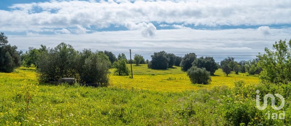 Farm T3 in Luz de Tavira e Santo Estêvão of 362 m²