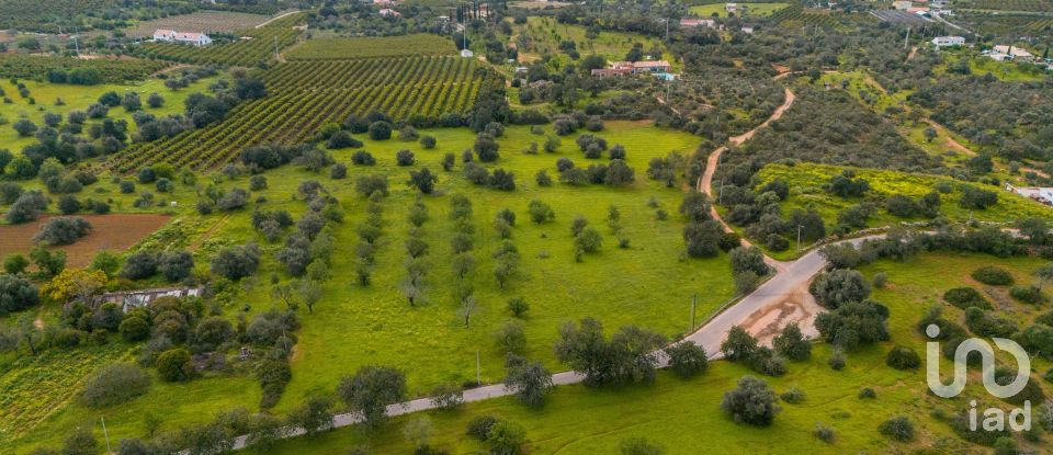 Farm T3 in Luz de Tavira e Santo Estêvão of 362 m²