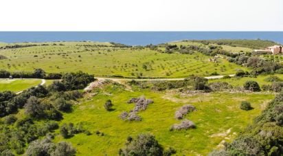 Terrain à bâtir à São Gonçalo De Lagos de 6 000 m²