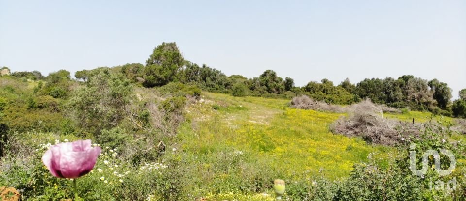 Building plot in São Gonçalo De Lagos of 6,000 m²