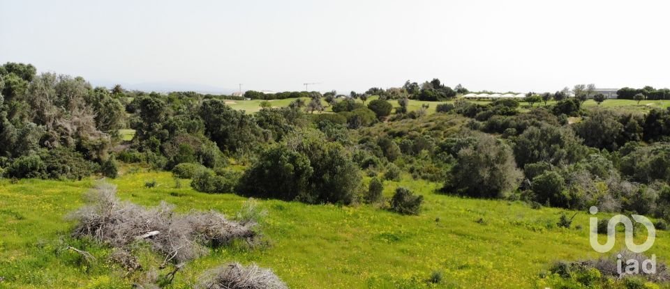 Building plot in São Gonçalo De Lagos of 6,000 m²