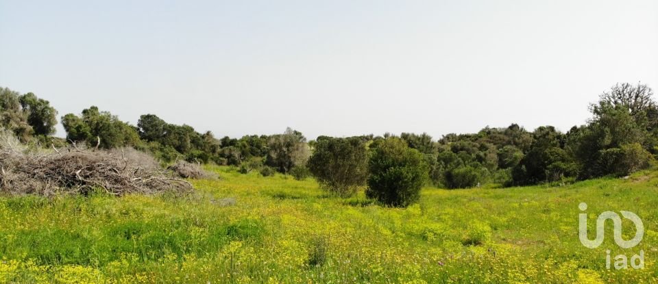 Building plot in São Gonçalo De Lagos of 6,000 m²