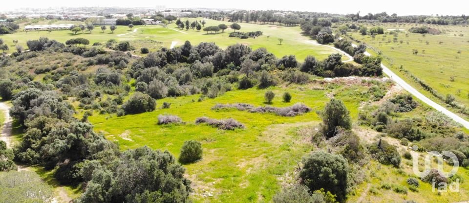 Building plot in São Gonçalo De Lagos of 6,000 m²