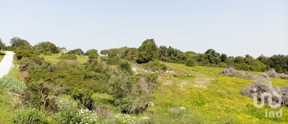 Building plot in São Gonçalo De Lagos of 6,000 m²