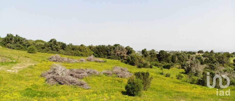 Building plot in São Gonçalo De Lagos of 6,000 m²