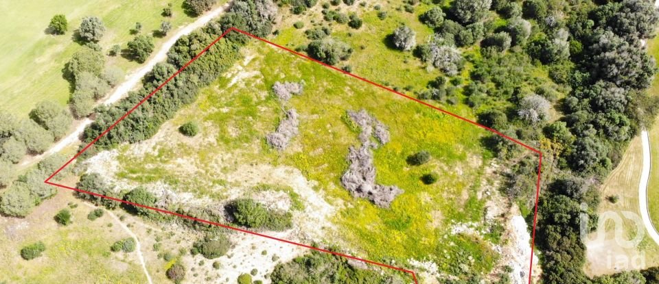 Building plot in São Gonçalo De Lagos of 6,000 m²