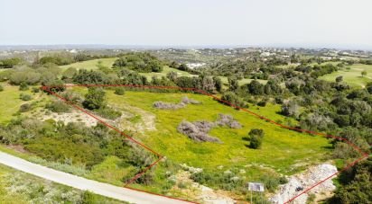 Terrain à bâtir à São Gonçalo De Lagos de 6 000 m²