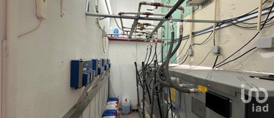 Boutique/Local commercial à Vieira de Leiria de 60 m²