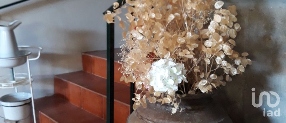 Ferme T11 à Baldos de 228 m²