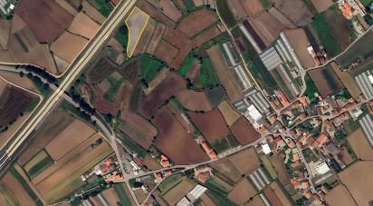 Terrain agricole à Fonte Boa e Rio Tinto de 3 580 m²