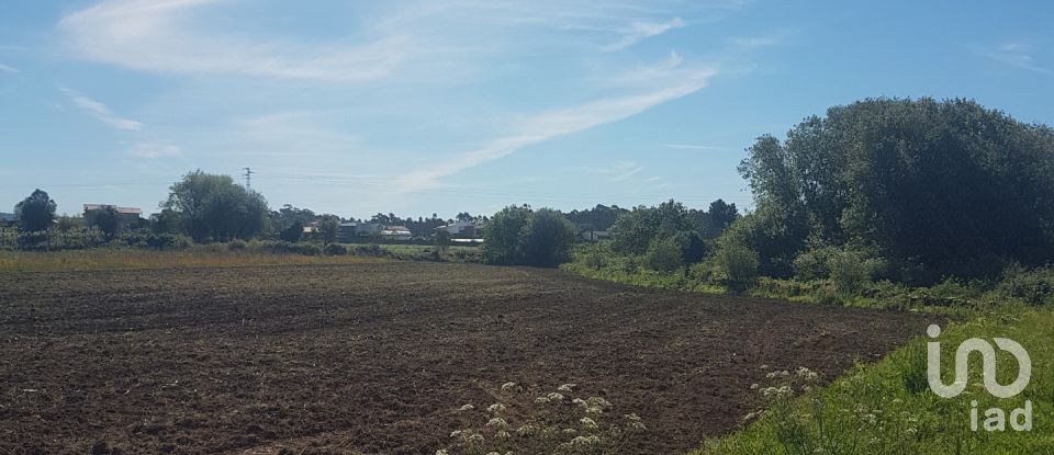 Terrain agricole à Fonte Boa e Rio Tinto de 3 580 m²