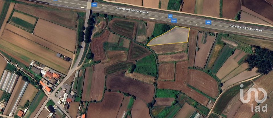 Terreno Agrícola em Fonte Boa e Rio Tinto de 3 580 m²