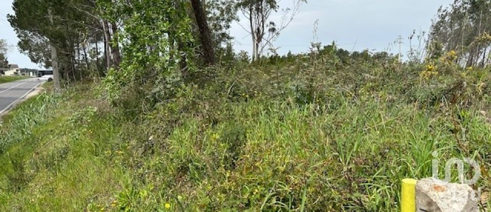 Building land in Amor of 706 m²