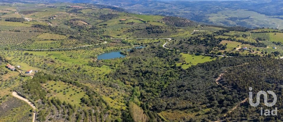 Land in Alfândega da Fé of 460,000 m²