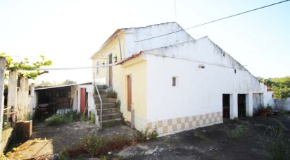 House T2 in Além da Ribeira e Pedreira of 216 m²