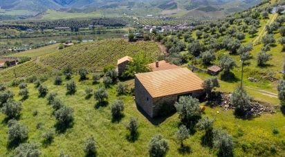 Farm T3 in Ligares of 160 m²