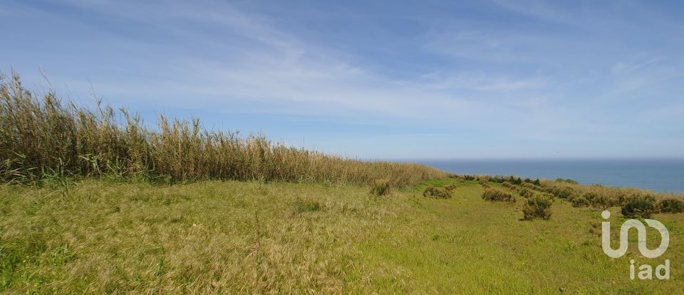 Terreno Agrícola em Caldas da Rainha - Santo Onofre e Serra do Bouro de 7 660 m²