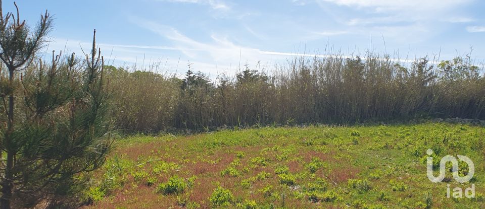 Terrain agricole à Caldas da Rainha - Santo Onofre e Serra do Bouro de 7 660 m²