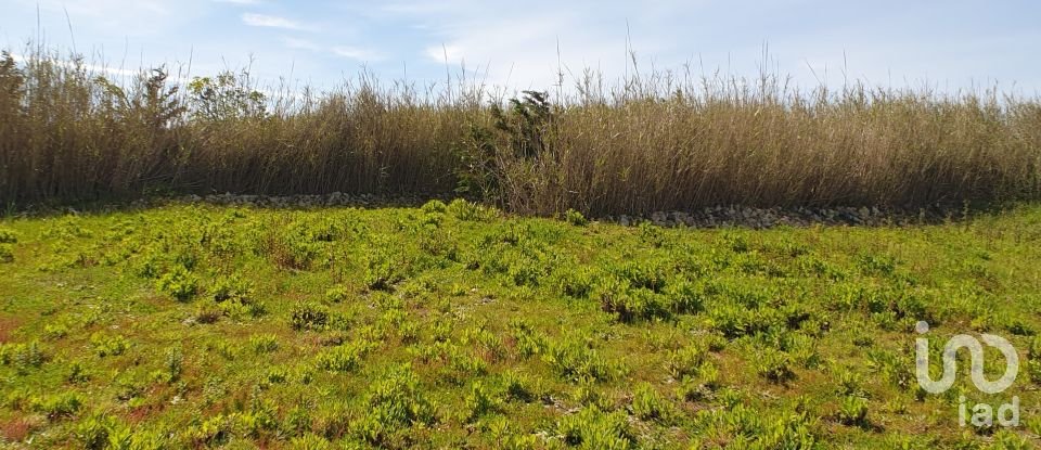 Terreno Agrícola em Caldas da Rainha - Santo Onofre e Serra do Bouro de 7 660 m²