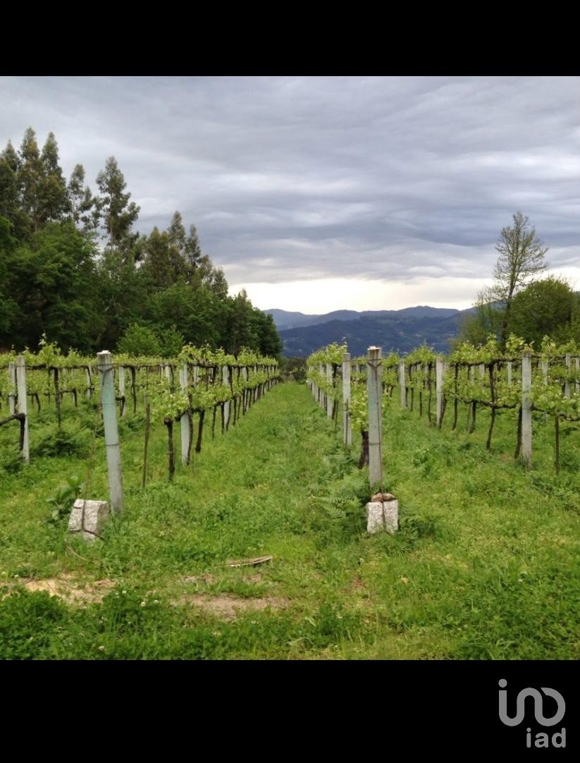 Terrain à Sampriz de 15 111 m²