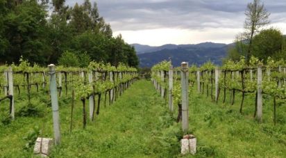 Terrain à Sampriz de 15 111 m²