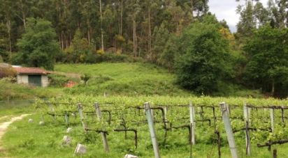 Terrain à Sampriz de 15 111 m²