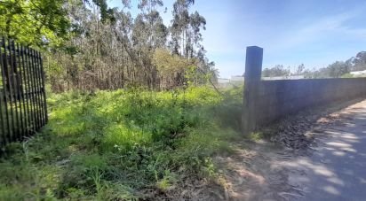 Building plot in Galegos (Santa Maria) of 1,537 m²