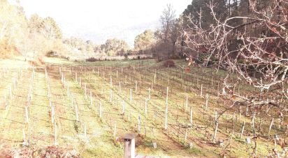 Terrain à Sampriz de 15 111 m²