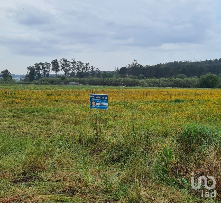 Agricultural land in Marrazes e Barosa of 2,100 m²