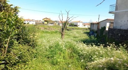 Maison T0 à Arcozelo de 50 m²