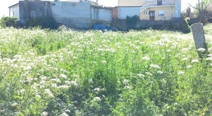 Maison T0 à Arcozelo de 50 m²