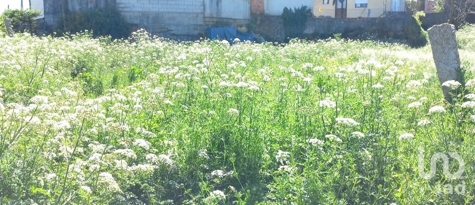 Moradia T0 em Arcozelo de 50 m²