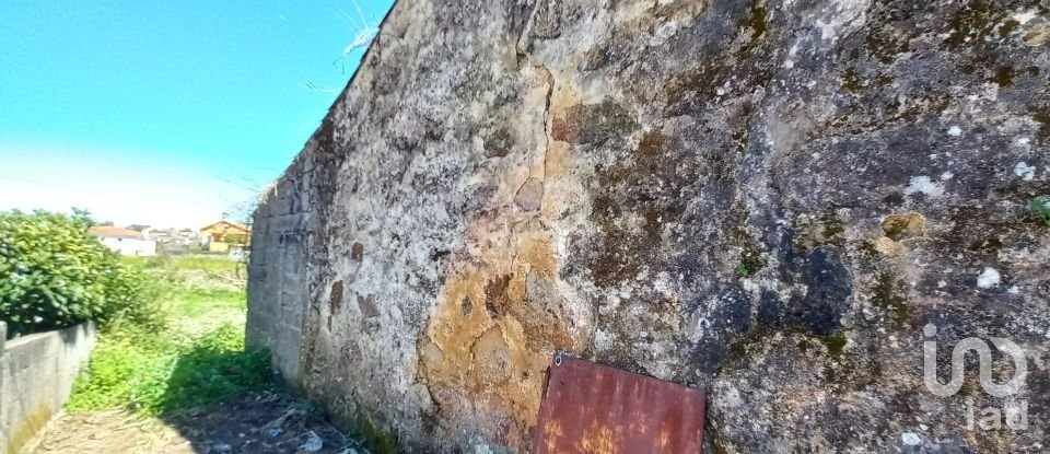 Moradia T0 em Arcozelo de 50 m²