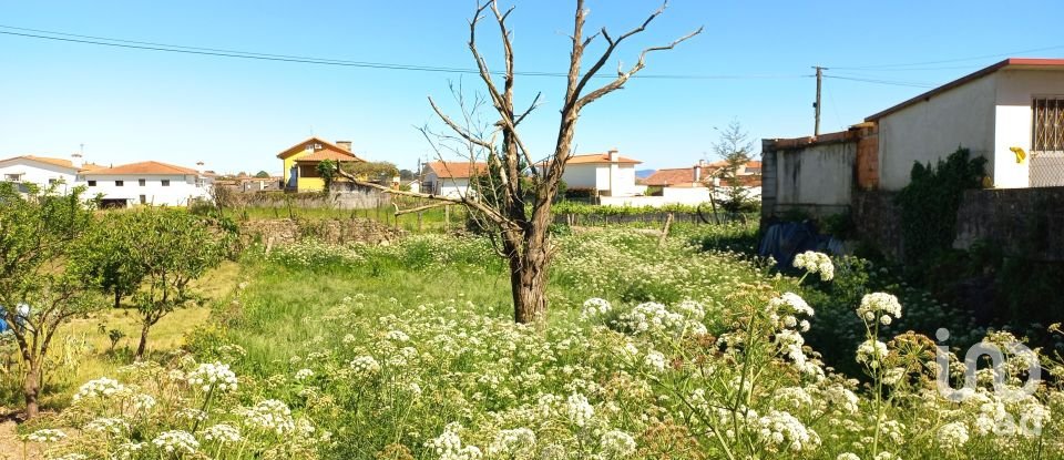 Moradia T0 em Arcozelo de 50 m²