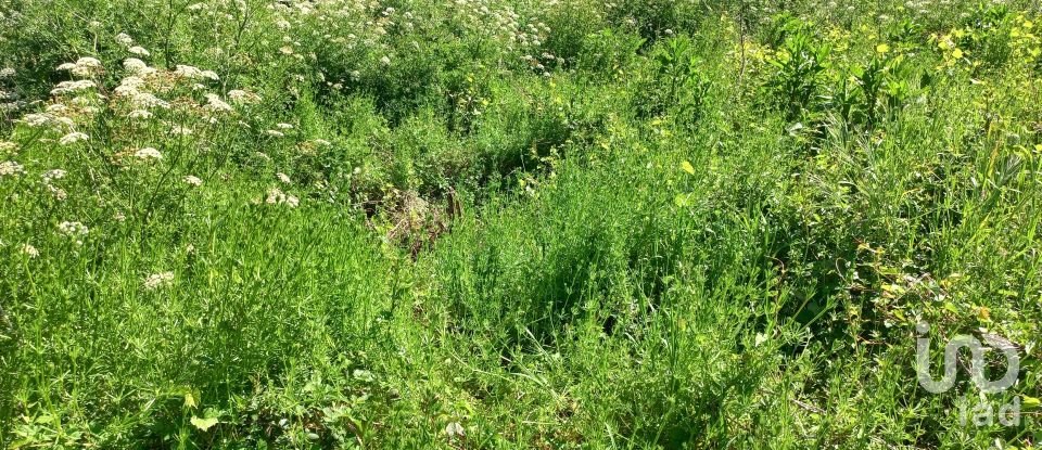 Moradia T0 em Arcozelo de 50 m²