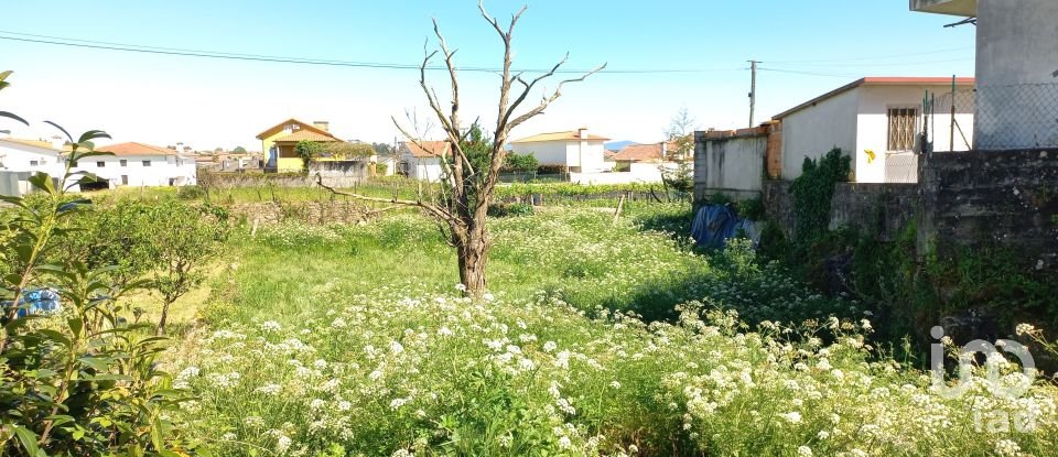 Moradia T0 em Arcozelo de 50 m²