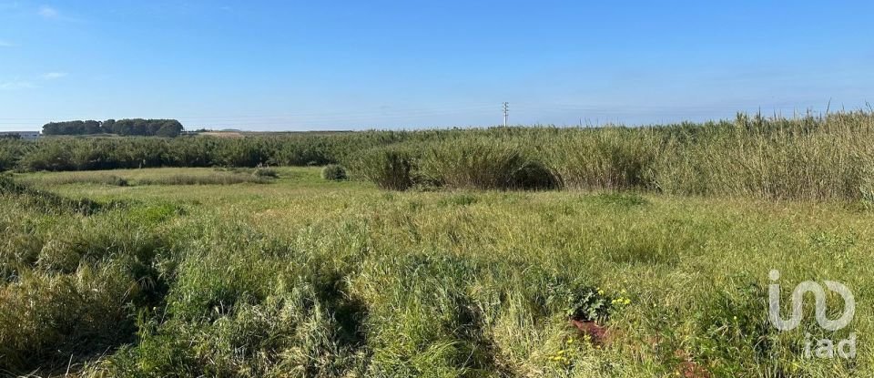 Moradia T4 em Ferrel de 222 m²