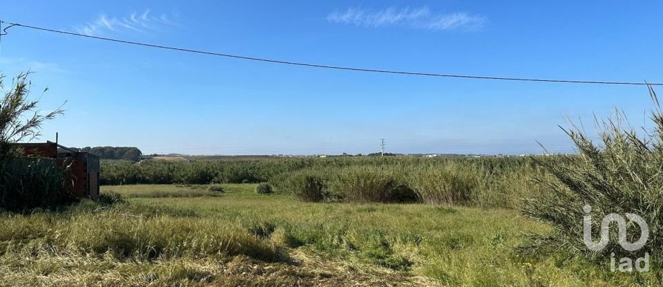 Moradia T4 em Ferrel de 222 m²