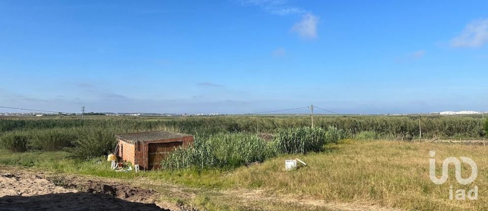 Moradia T4 em Ferrel de 222 m²