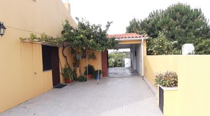 Maison traditionnelle T2 à Cadaval e Pêro Moniz de 132 m²