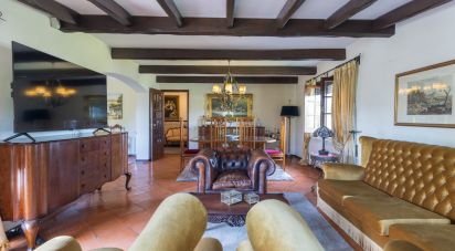 Traditional house T4 in Mouronho of 412 m²