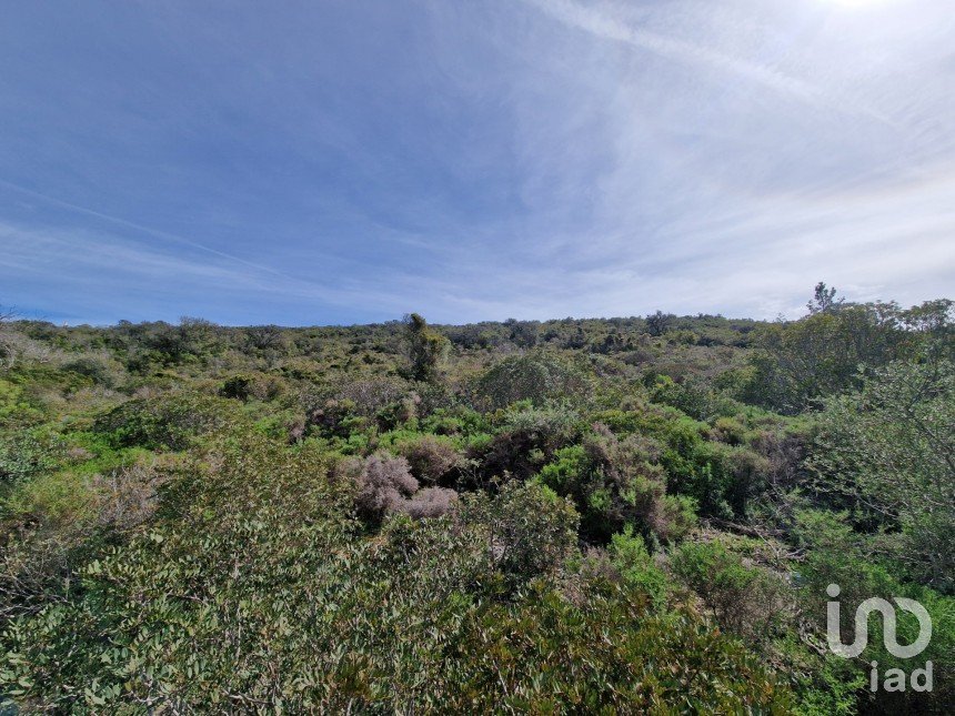 Terreno em Santa Bárbara de Nexe de 7 320 m²