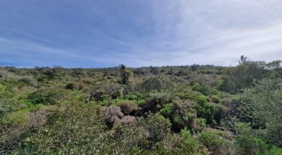 Terrain à Santa Bárbara de Nexe de 7 320 m²