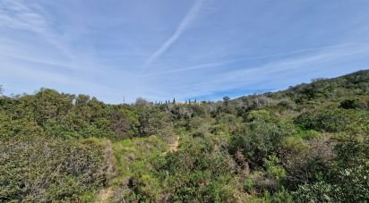 Terrain à Santa Bárbara de Nexe de 7 320 m²