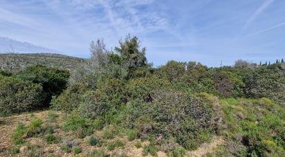 Terrain à Santa Bárbara de Nexe de 7 320 m²