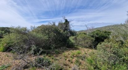 Terrain à Santa Bárbara de Nexe de 7 320 m²