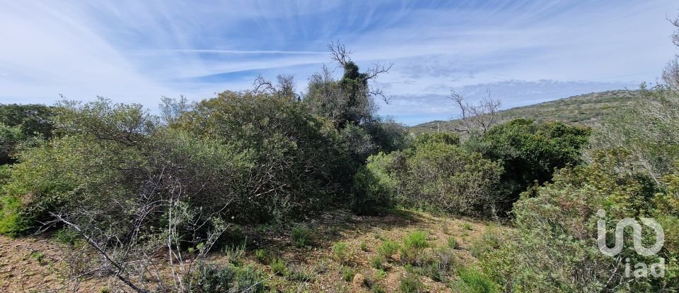 Terrain à Santa Bárbara de Nexe de 7 320 m²